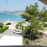 Palaca Sunca * سريما