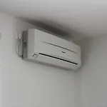 Palaca Sunca * Srima