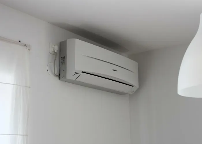 Palaca Sunca * Srima