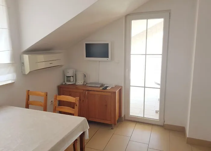 Palaca Sunca * Srima